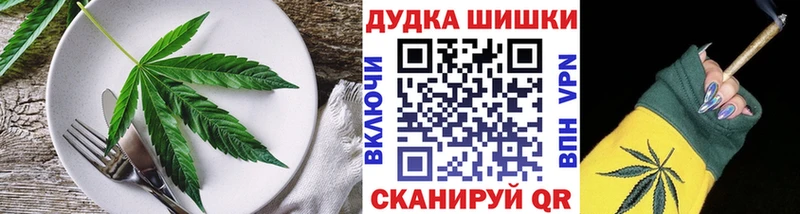 MEGA ссылки  купить наркоту  Майкоп  Печенье с ТГК марихуана 