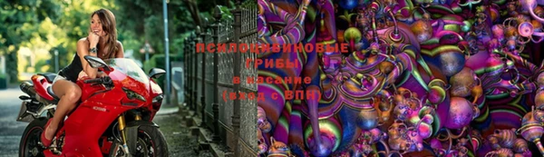 каннабис Алексеевка