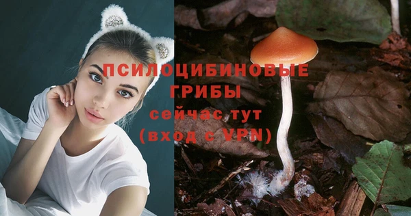 героин Алексин