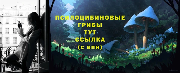 дмт Алзамай