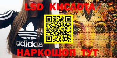 стафф Волгодонск