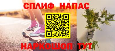 сатива Волжский